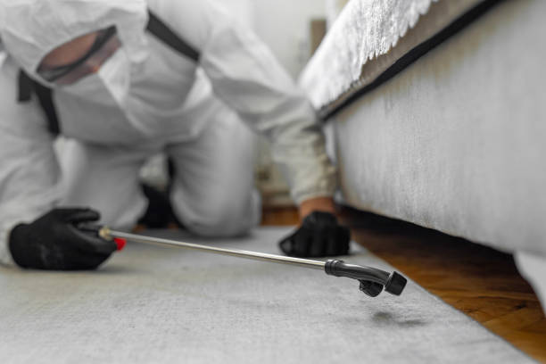 Professional Termite Control technician working in Firthcliffe, NY